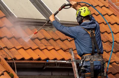 Démoussage et hydrofuge de toiture à Lonçon